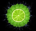 Mint leaves in circle with lime