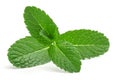 Mint leaves Royalty Free Stock Photo