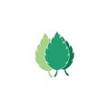 Mint leaves flat vector color icon Royalty Free Stock Photo