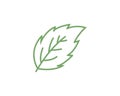 Mint leaves flat vector icon Royalty Free Stock Photo