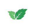 Mint leaves flat vector icon