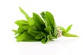 Mint leaves Royalty Free Stock Photo