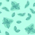 Mint leaves hand drawn vector seamless pattern. Peppermint, spicy herbs, kitchen texture, Doodle cooking ingredient for design pac Royalty Free Stock Photo