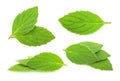 Mint leaves isolated. set Royalty Free Stock Photo