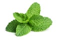 Mint Royalty Free Stock Photo