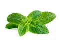 Mint leaves isolated on white Royalty Free Stock Photo