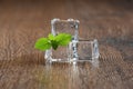 Mint leaves and a melting ice cube with water drops on the table. Royalty Free Stock Photo