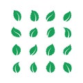 Mint leaves. Peppermint melissa green leaf, fresh eco food label, vegan herbal farm plant, spearmint leaf. Vector flat
