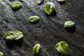 Mint leaves on stone table and water drops. Top view with copy space Royalty Free Stock Photo