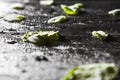 Mint leaves on stone table and water drops. Top view with copy space Royalty Free Stock Photo