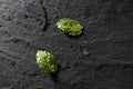 Mint leaves on stone table and water drops. Top view with copy space Royalty Free Stock Photo