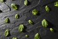 Mint leaves on stone table and water drops. Top view with copy space Royalty Free Stock Photo