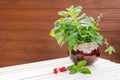 Fresh Mint leaves and summer berries on white wooden background, top view, place for text.Bright mint leaves and tasty Royalty Free Stock Photo