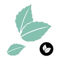 Mint leaves vector logo. Green leaf. Blue mint leave icon on white. Mint leaves vector logo.