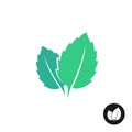 Mint leaves vector logo. Two leaves of a mint.