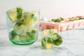 Mint and lemon frozen in ice cubes and glass