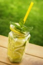 Mint lemonade in jar garden background Royalty Free Stock Photo
