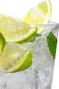 Mint, lime ice vodka Royalty Free Stock Photo