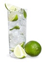 Mint, lime ice vodka Royalty Free Stock Photo