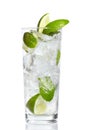 Mint, lime ice vodka Royalty Free Stock Photo