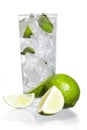 Mint, lime ice vodka Royalty Free Stock Photo