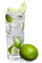 Mint, lime ice vodka Royalty Free Stock Photo