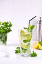 mint lime refreshing cocktail mojito with ice in glass , fresh ingredients and cocktail shaker Royalty Free Stock Photo