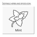 Mint line icon