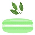 Mint macaroon icon cartoon vector. French cookie