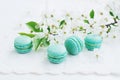 Mint macaroons and blooming cherry flowers at vintage lace doily Royalty Free Stock Photo
