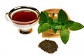 Mint mentha pulegium tea