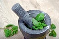 Mint in mortar and pestle. cold and flu remedy. Royalty Free Stock Photo