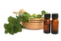 Mint oil Royalty Free Stock Photo