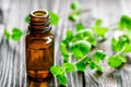 Mint oil Royalty Free Stock Photo