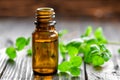 Mint oil Royalty Free Stock Photo