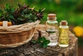 Mint oil and fragrant essence in small bottles with peppermint l Royalty Free Stock Photo