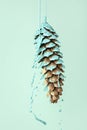 Mint paint dripping out of pine cone creative Fall minimal concept