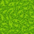 Mint pattern with different bright green mint leaves Royalty Free Stock Photo