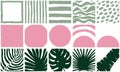 Mint, pink seamless tiled pattern. Exotic plant Royalty Free Stock Photo