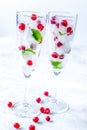 Mint and red berries in ice cubes in glasses white background Royalty Free Stock Photo