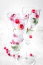 Mint and red berries in ice cubes in glasses white background Royalty Free Stock Photo