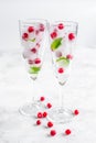 Mint and red berries in ice cubes in glasses white background Royalty Free Stock Photo