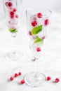 Mint and red berries in ice cubes in glasses white background Royalty Free Stock Photo