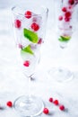 Mint and red berries in ice cubes in glasses white background Royalty Free Stock Photo