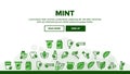 Mint Refreshing Leaf Landing Header Vector