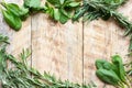 Mint, rosemary, thyme - fresh herbs for cooking top view