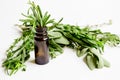 Mint, sage, rosemary, thyme - aromatherapy white background Royalty Free Stock Photo