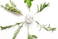 Mint, sage, rosemary, thyme - aromatherapy white background Royalty Free Stock Photo