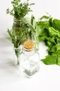 Mint, sage, rosemary, thyme - aromatherapy white background Royalty Free Stock Photo