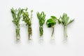 Mint, sage, rosemary, thyme in glass bottles white background